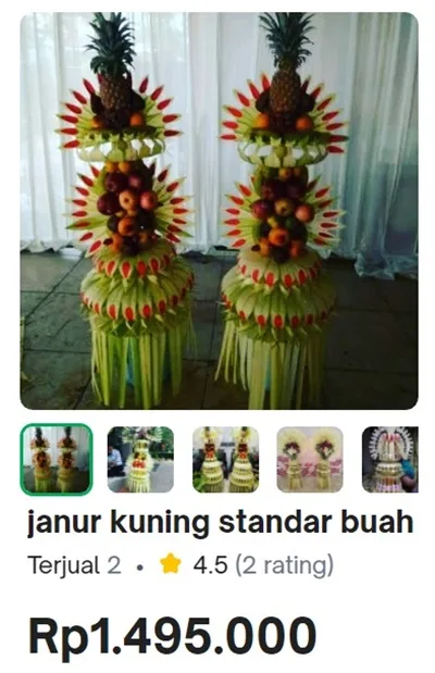 Jual janur buah pengantin