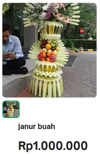 Jual janur buah pengantin