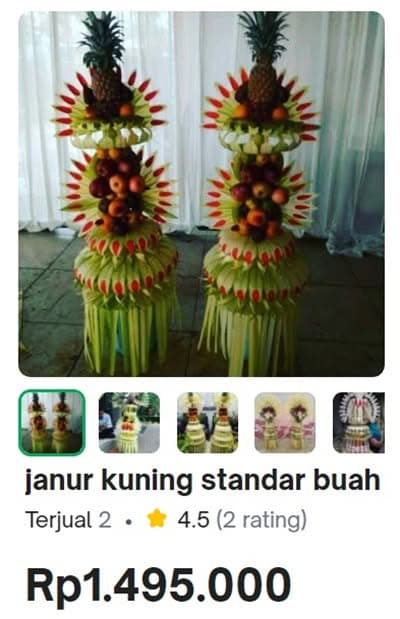 Jual janur buah pengantin