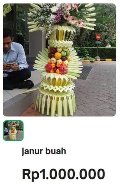 Jual janur buah pengantin