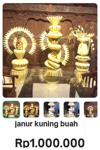 Jual janur buah pengantin